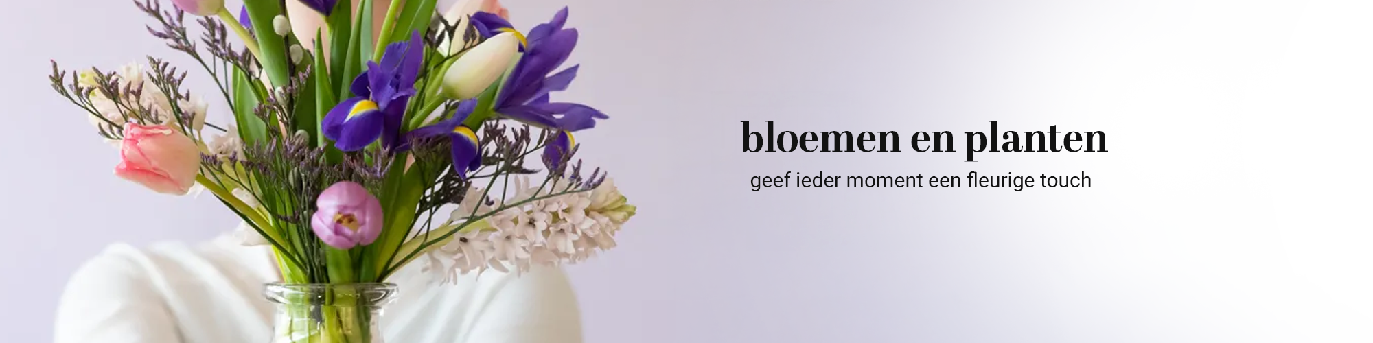 banner Planten