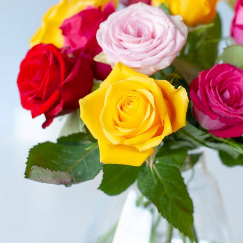 Rozen Mix
